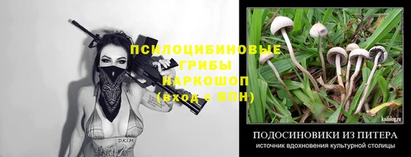 амф Ростов