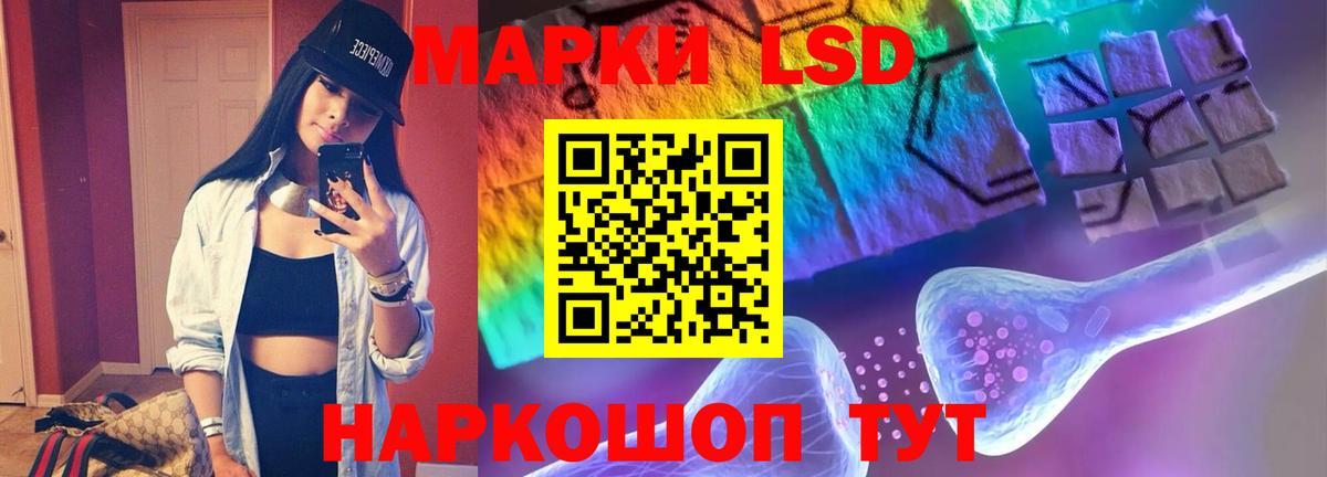 Бошки Шишки Кириши