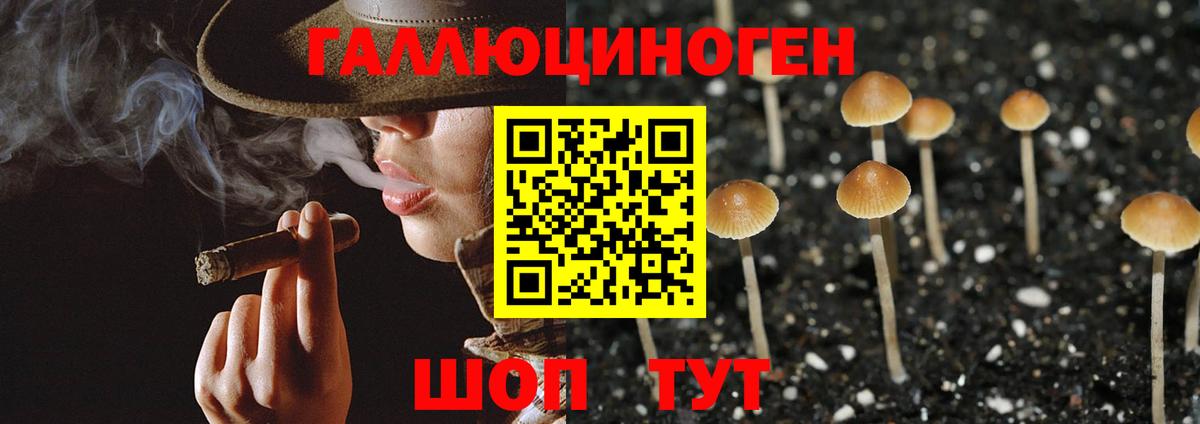 Галлюциногенные грибы мухоморы Кириши