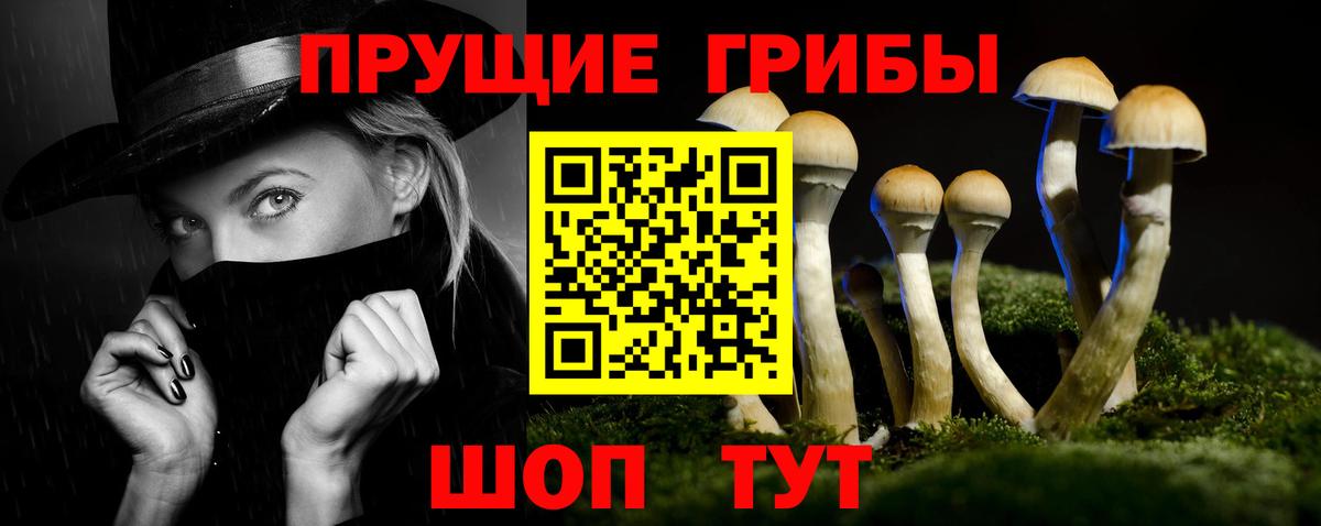 Псилоцибиновые грибы MAGIC MUSHROOMS  Вход с VPN  Кириши 