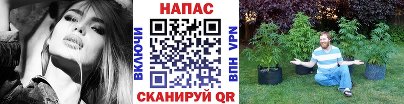 Марихуана MAZAR  kraken как зайти  Кириши 